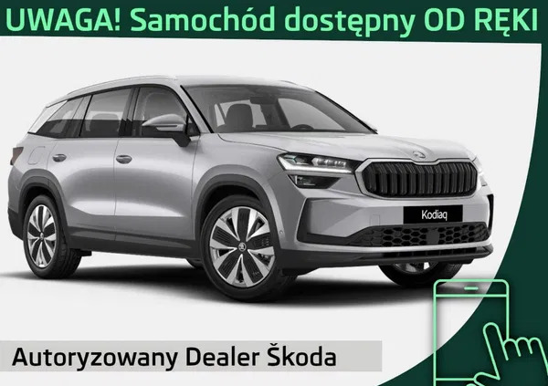 samochody osobowe Skoda Kodiaq cena 236600 przebieg: 3, rok produkcji 2024 z Bojanowo